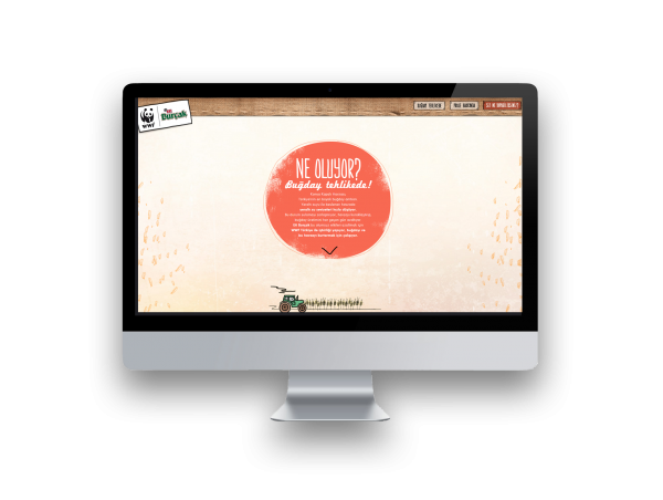 Eti Burçak Web Site